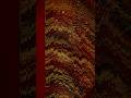 Authentic and interesting memoirs of Mrs. Clarke, from her infancy to the present time : likewise...