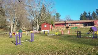 Moxie Steeplechase 1