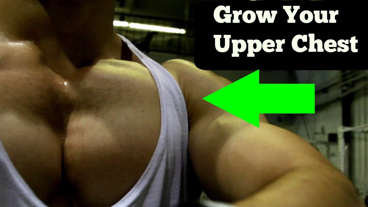 Bodybuilding Chest Exercises Youtube