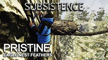 Subsistence | Eagles Nests for Pristine Feathers | Subsistence Alpha 62 | S9 EP74