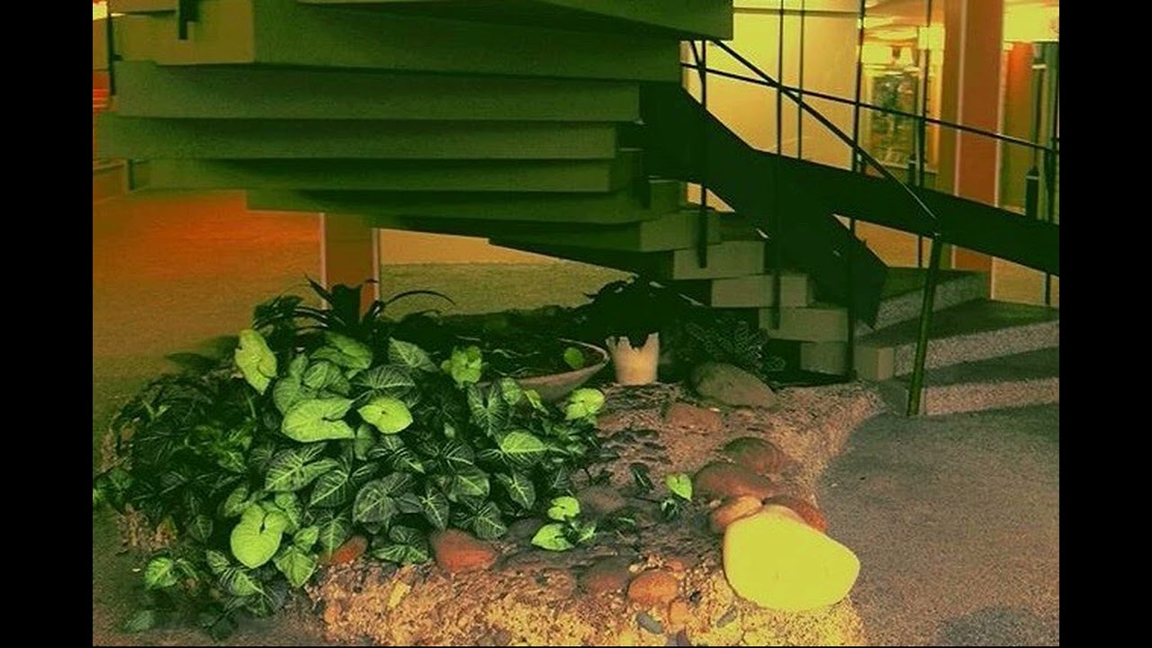 🍀 Creeping Ivy 🍀 Jungle Mallsoft - Signalwave - Vaporwave Music Mix 🍀