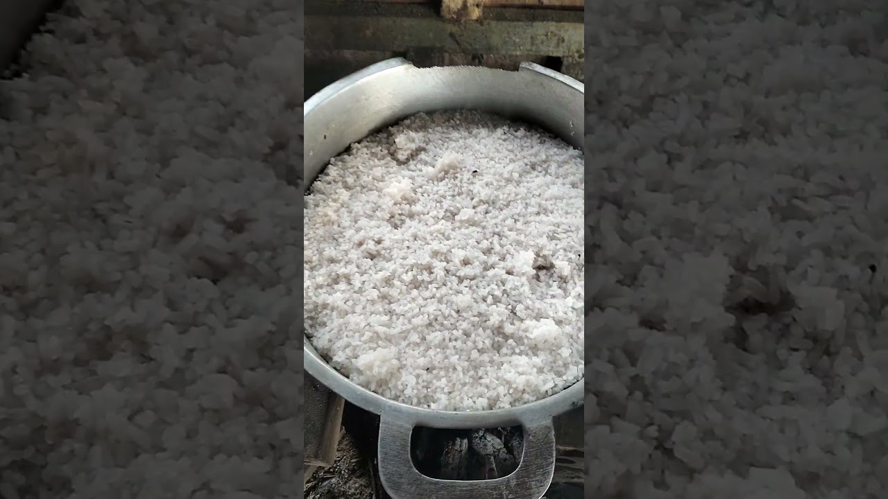 🍚✅ Rice is cooked! So fragrant, everyone!