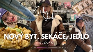 Obhliadka bytu, obed, sekáče, Brno a kvety | VLOG