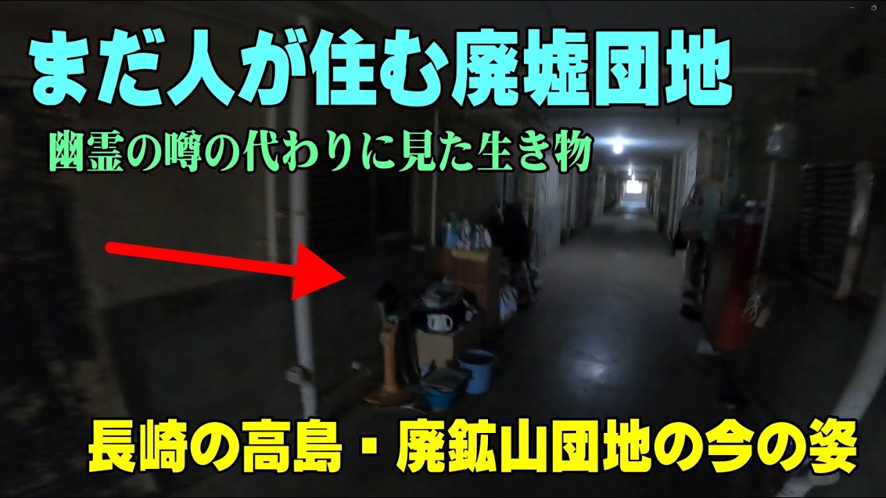 【字幕ONで】廃墟団地に未だに人が暮らす光景・長崎市高島の炭鉱団地の今