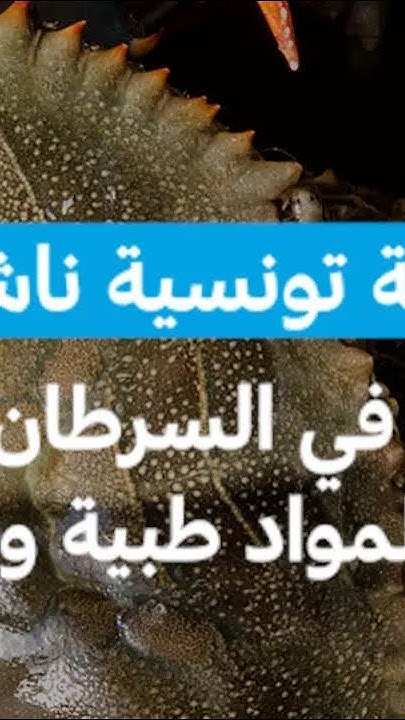          
 - نشر قبل 2 ساعة