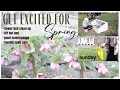 Diy hot bedget excited for springspring outdoor clean upsunday lawn careearly spring gardening