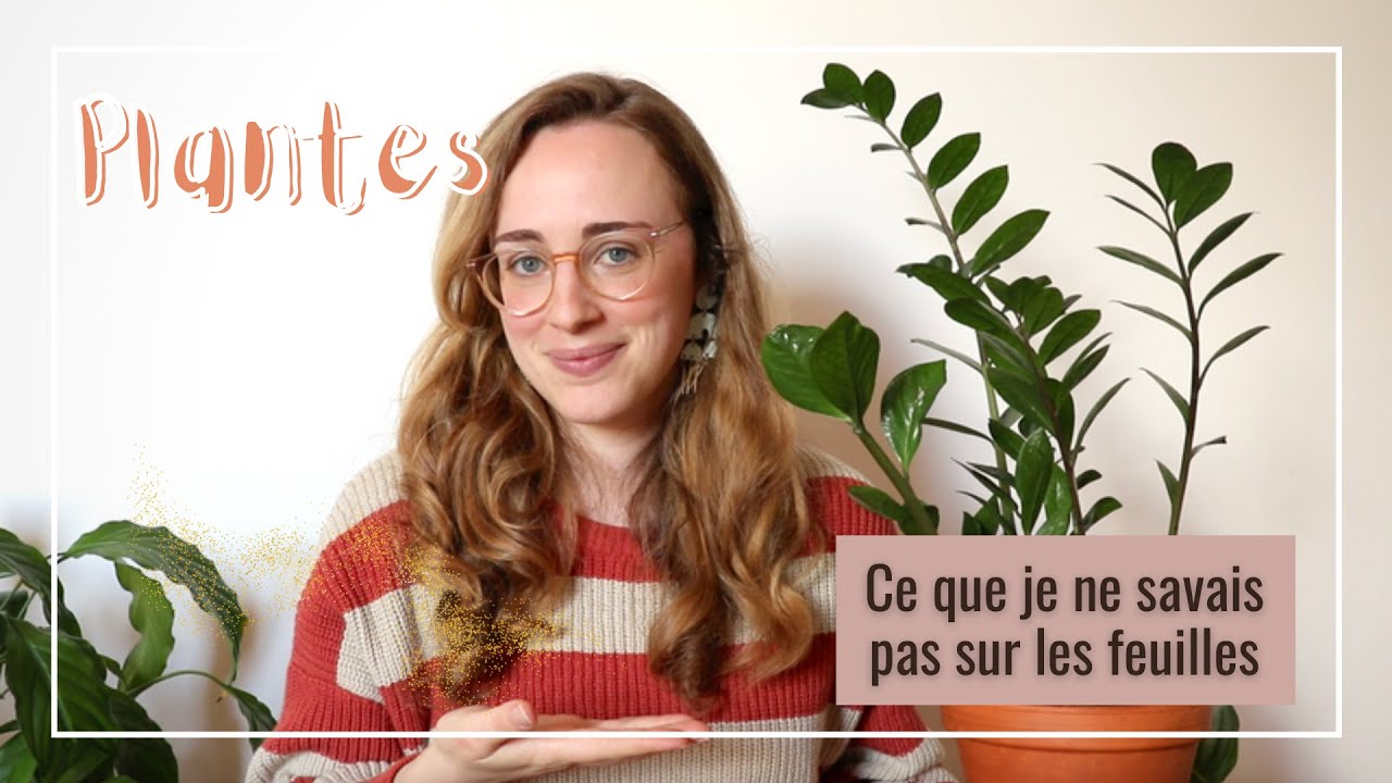Plantes : ce que je ne savais pas | Les Feuilles 🍃