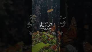 Pin on Religious #quran