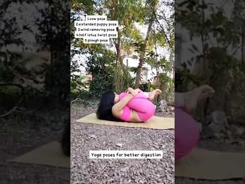 Fat Burn Exercise At Home Bellyworkout Legsworkout Weightloss Backworkout Youtubeshorts