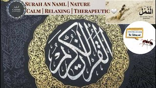 Qari Syed Sadaqat Ali /Surah an Naml | Nature | Calm | Relaxing | Therapeutic 🤍