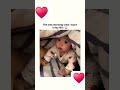 #babifreitas