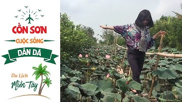 Trải Nghiệm Cuộc Sống Dân Dã Cồn Sơn Cần Thơ II Du Lịch Miền Tây II Du Lịch SayHi