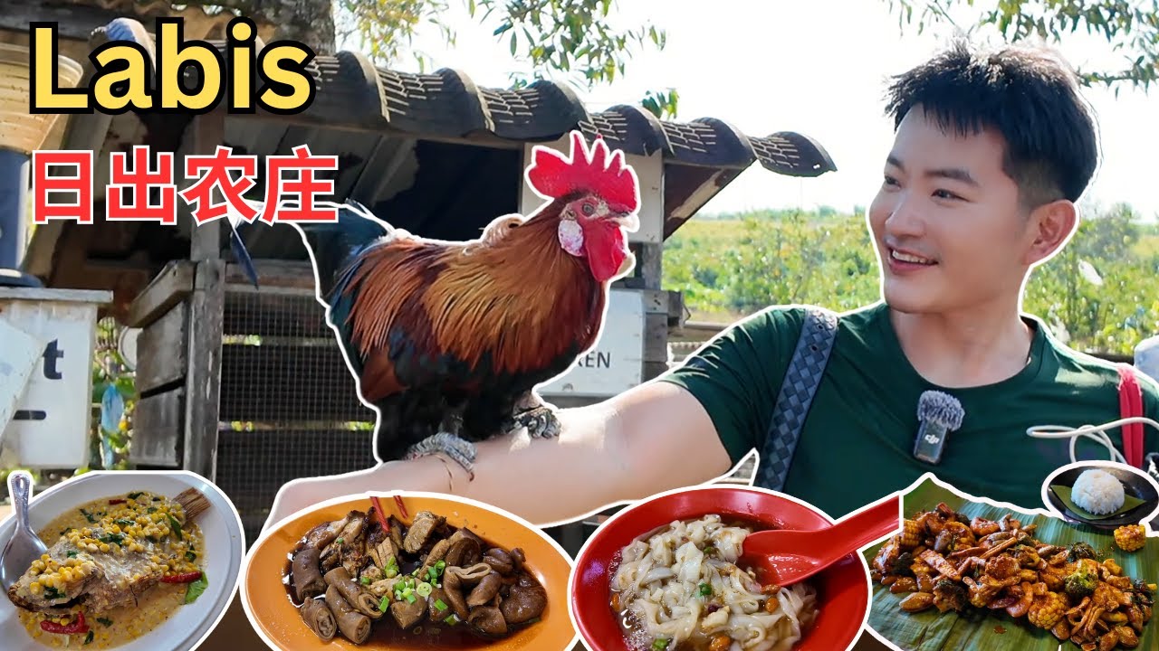 [Johor 拉美士～Sunrise Farm] 日出农庄日出日落无敌美景！亚弟粿条仔！福源柴火手工包！祥鸿玉米鱼！品香海南早餐！福和成豆沙饼！合成牛油蛋糕！金记芋头饭！康源手工点心！拉美士六味汤！