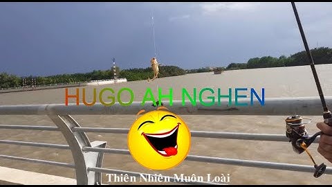 Đổi chiến thuật đi câu cá ngát và cái kết dính toàn cá úc || River fishing || Youngest fishing