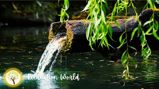 Relaxing Sounds for Sleep, Healing, Concentration, Calming Music, Meditation Music, Nature Sounds