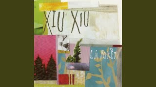 Video thumbnail of "Xiu Xiu - Ale"