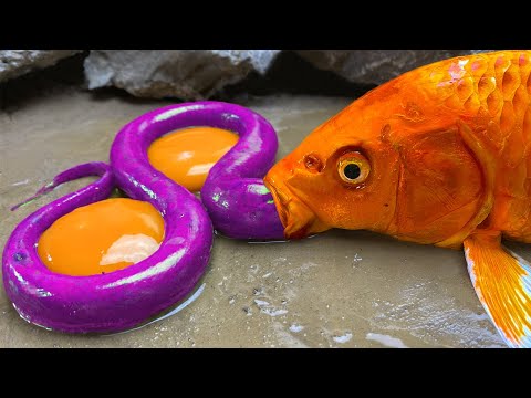 The Goldfish Carp Eel - Amazing Stop Motion ASMR Catching Big Purple Eel Primitive Cooking | Cuckoo