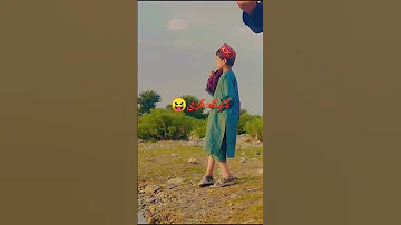 د کندهار هلکان تول مجاهدین دی 