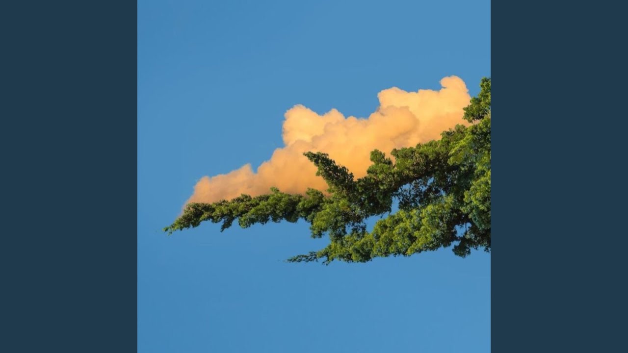 So Far Gone Fast Life Bluez YouTube so-far-gone-fast-life-bluez-youtube