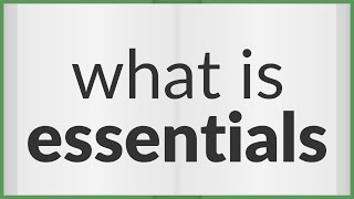 Essentials Meaning Of Essentials