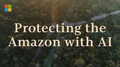 Protecting the Amazon from deforestation with Microsoft AI