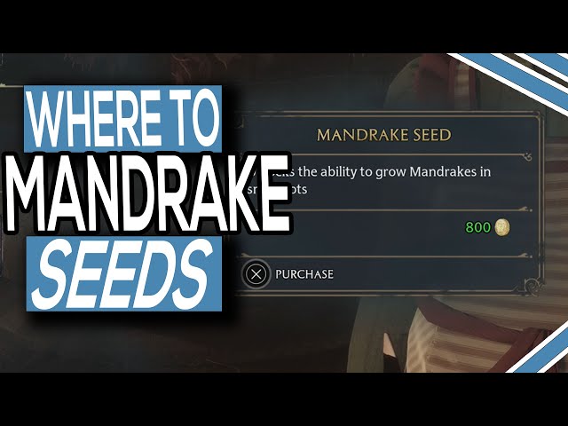 How To Get Mandrake Seeds Hogwarts Legacy - GINX TV