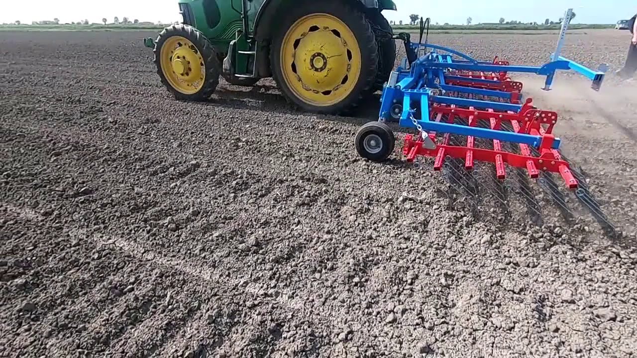 Rottura crosta superficiale sul mais con strigliatore