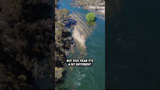 Snowy Hydro Environmental Release into the Snowy River | October 2025