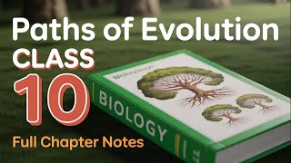 Paths of Evolution Class 10 | Darwinism, Human Evolution, Nervous System | Ann's Learning Hub