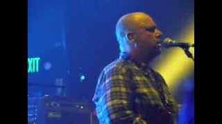 Pixies - Silver Snail