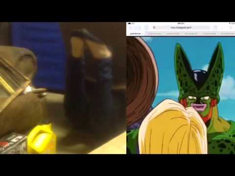 cell absorbs dancer