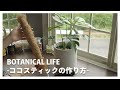 【ココナッツ支柱】ヒメモンステラの支柱作りに挑戦!お洒落なインテリアに馴染みやすいココナッツパームスティックを簡単に作る方法|#seria #観葉植物 #観葉植物のある暮らし #plants
