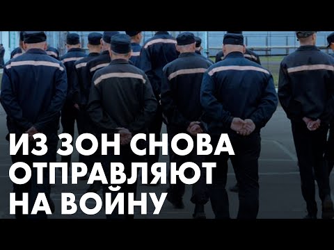 Возобновление вербовки в зонах и облавы на призывников.