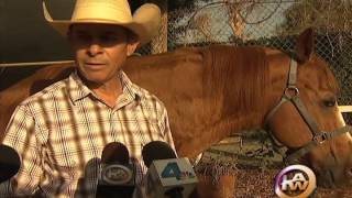 LAPD Mounted Horse Retires