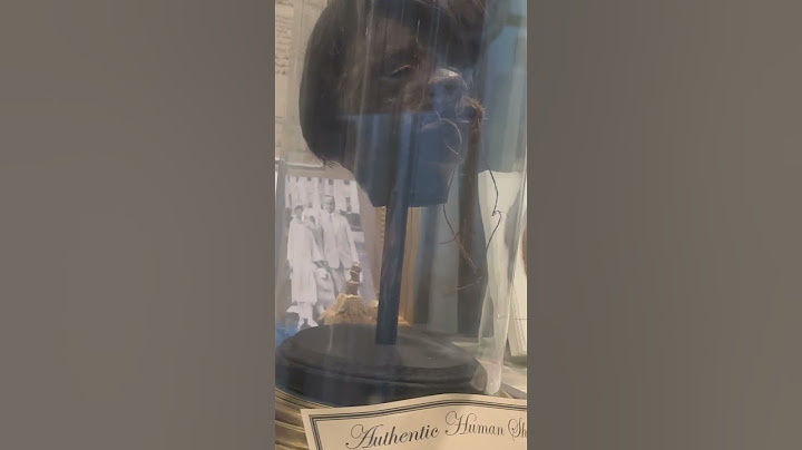 Cabezas reducidas en un frasco - museo