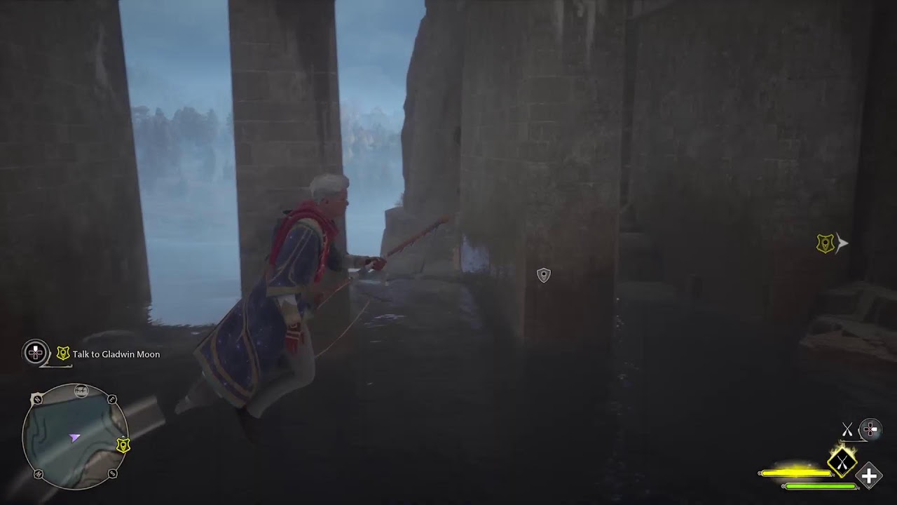 Hogwarts legacy series