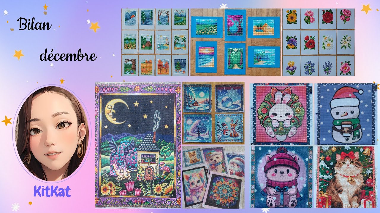 Un max de mini projets pour terminer l'année ♥ #recap #bilan #diamondpainting #2025 /71