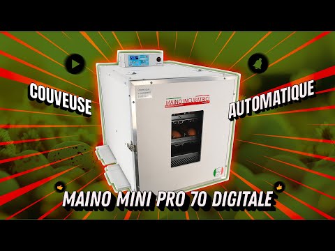 Couveuse automatique Maino