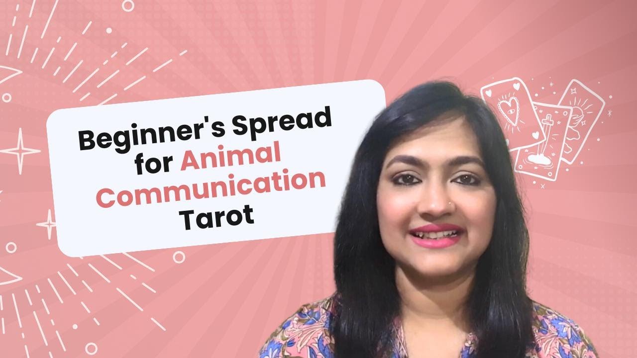 Beginner's Spread for Animal Communication Tarot - YouTube
