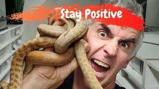 Famous STAY POSITIVE - CrittaCam Profile