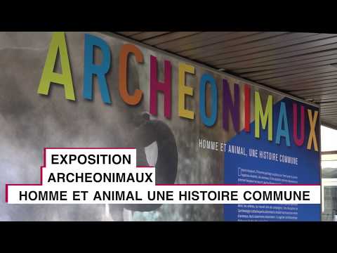 Blog Site De Associationciras