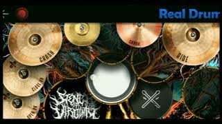 Silhouette - Kana Boon (Real drum cover) Naruto theme