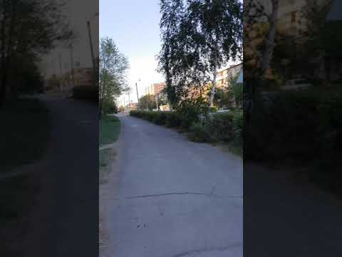 #shorts🌇Уральская в цвету. Асфальт и столб - главное украшение. Подробности в описании👇#6