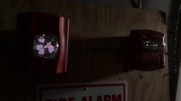 Spectralert Advance on Wheelock Sync