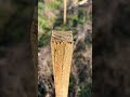 Some days treeplanting in the UK consists of no trees 🥲#ukplanting #treeplanting