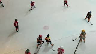 2017-2018 China HK Youth Ice Hockey League - U8 Champion