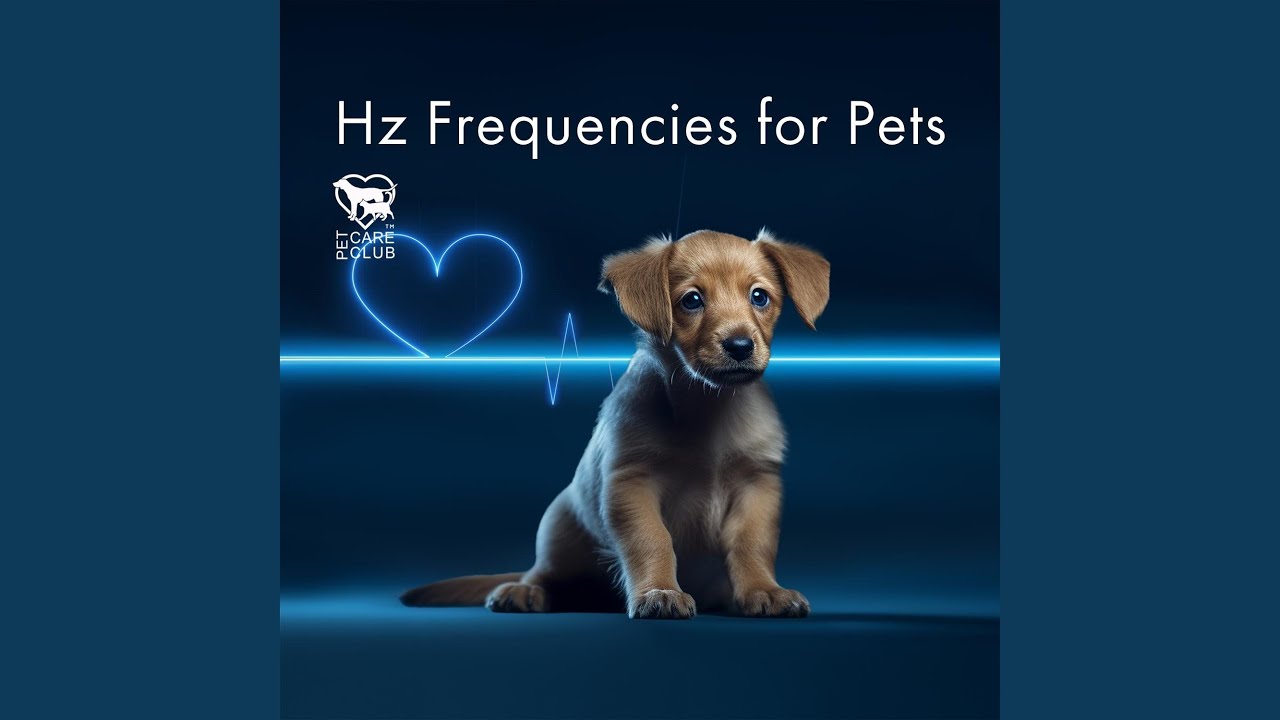 Natural Healing: Zen Therapy Music