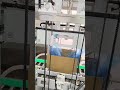 Carton inner bag sealing machine #mittiway #automation #packagingmachine #baginserter