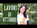 ORTO di OTTOBRE: lavori da fare in campo