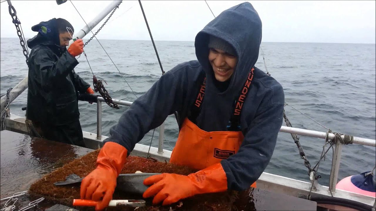 Makah Longline Fishing YouTube